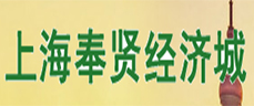 上海奉贤经济城